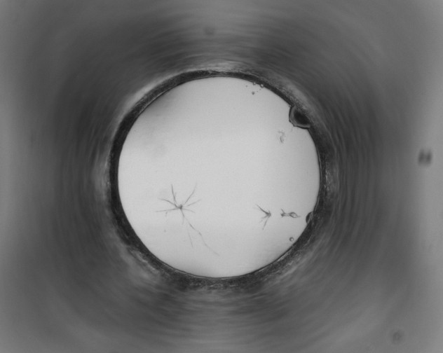 X0000100310532200807031149