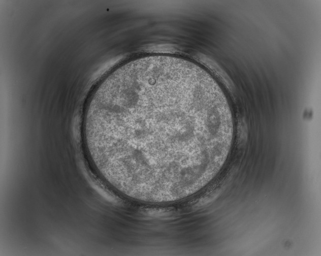X0000100310533200807031149