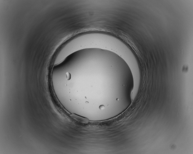 X0000100310534200807031149