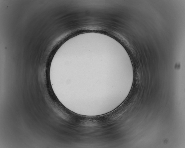 X0000100310535200807031149
