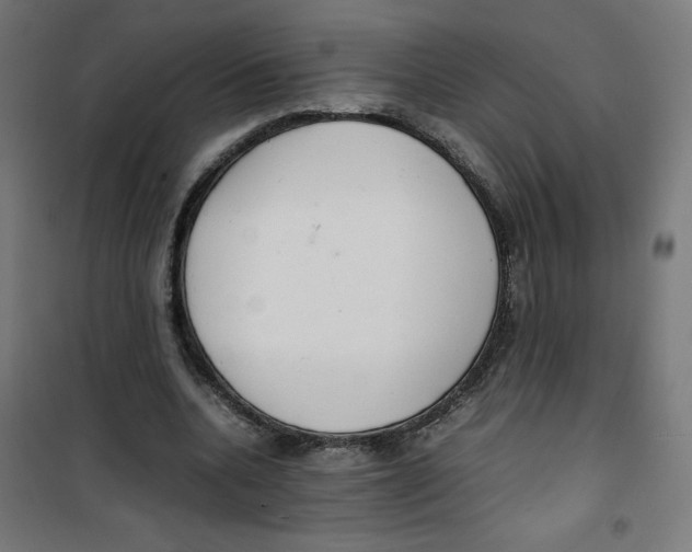 X0000100310536200807031149