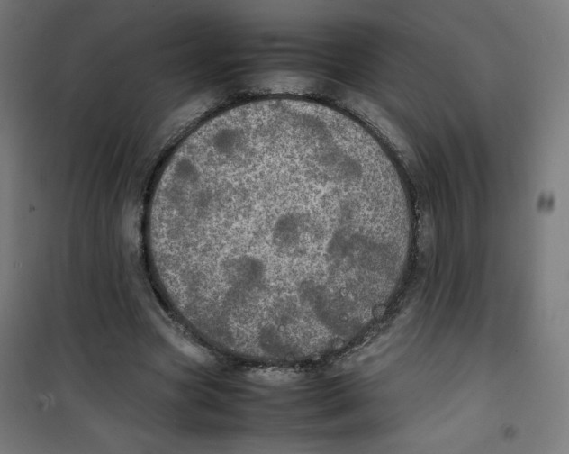 X0000100310537200807031149