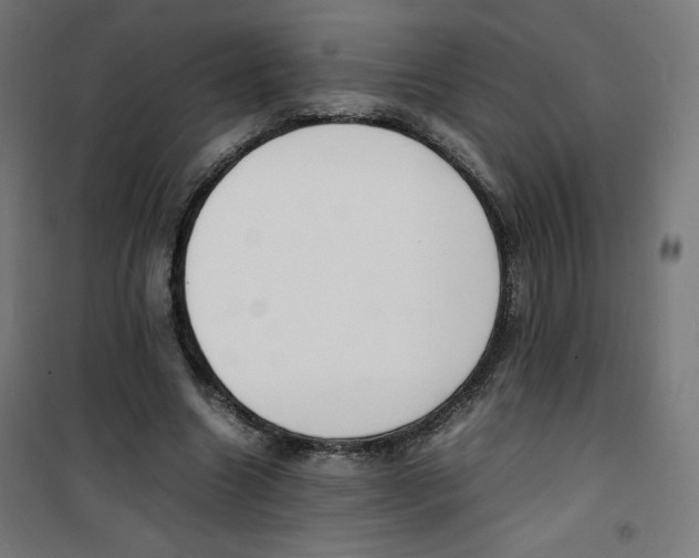 X0000100310538200807031149