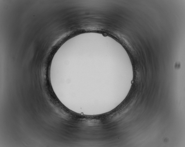 X0000100310539200807031149