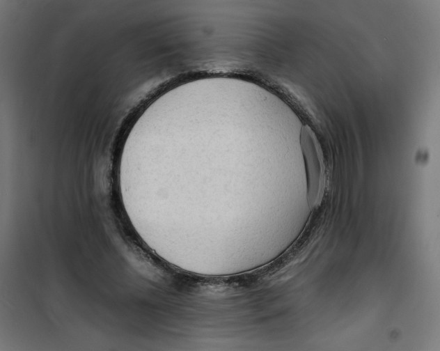 X0000100310540200807031149