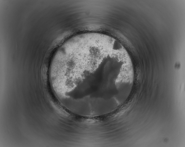 X0000100310542200807031149