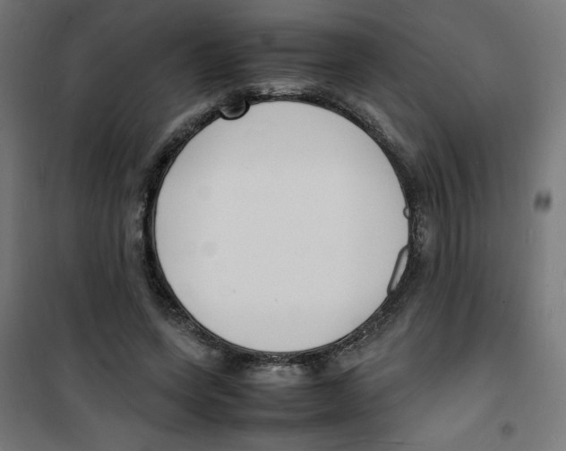 X0000100310543200807031149