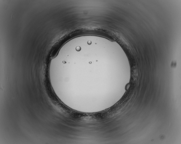 X0000100310544200807031149