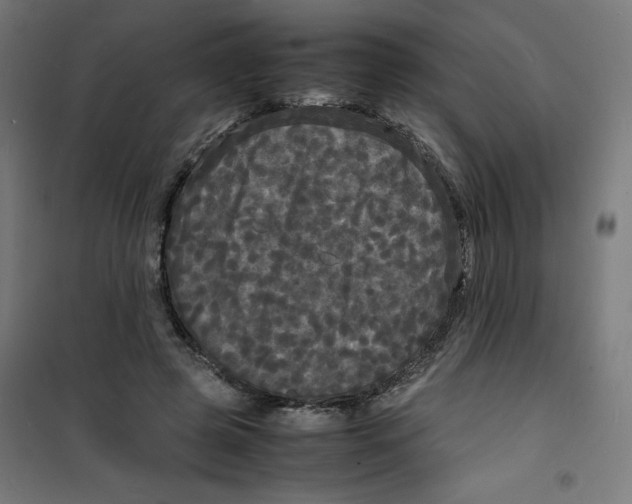 X0000100310545200807031149
