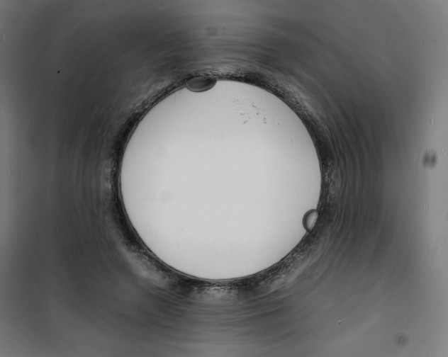 X0000100310546200807031149