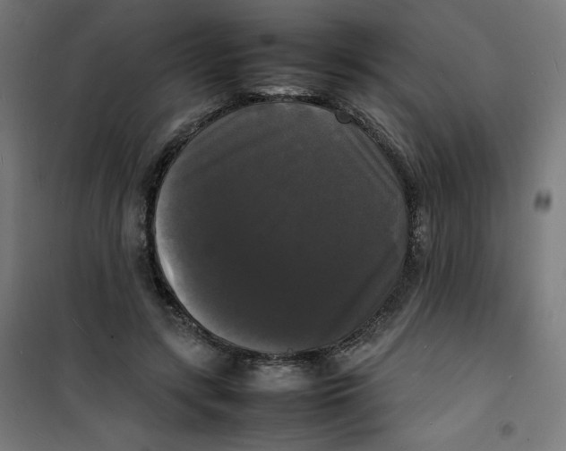 X0000100310547200807031149