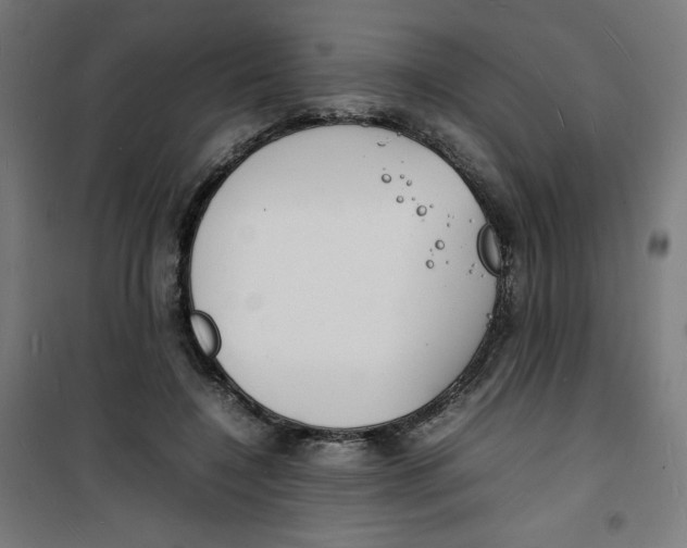 X0000100310548200807031149