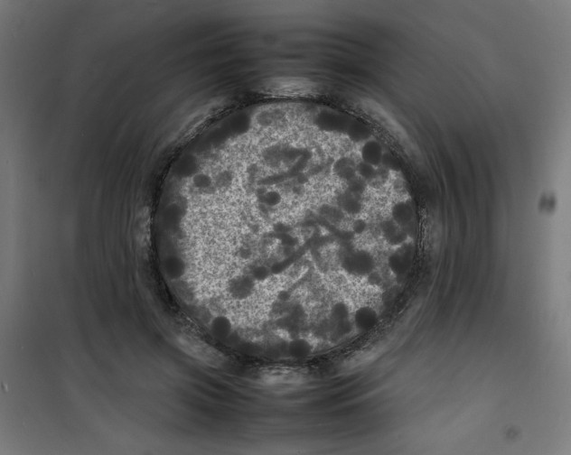 X0000100310549200807031149