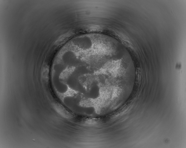 X0000100310550200807031149