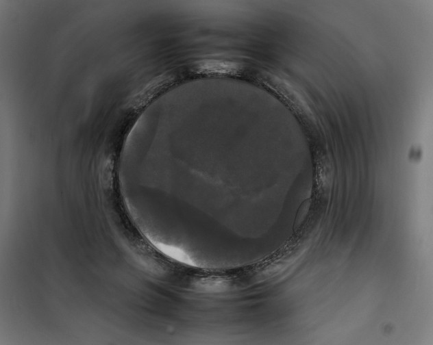 X0000100310551200807031149