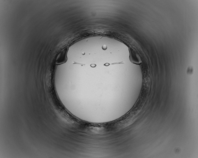X0000100310552200807031149