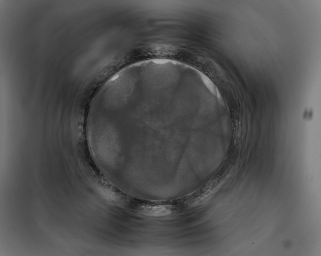 X0000100310553200807031149