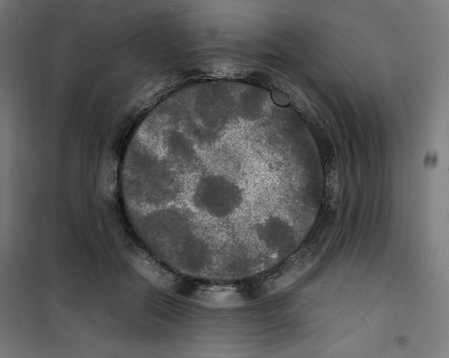 X0000100310554200807031149
