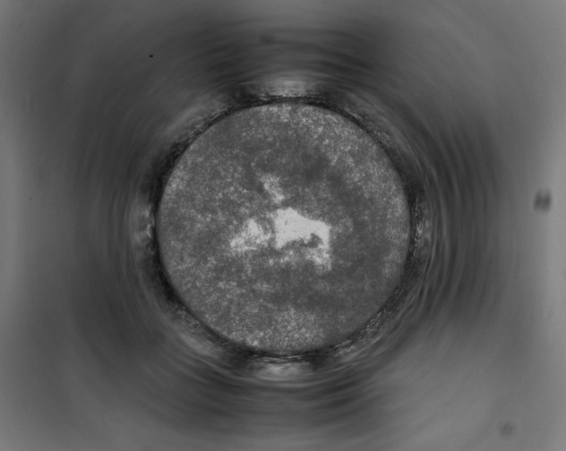 X0000100310555200807031149
