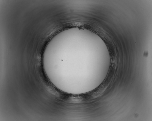 X0000100310556200807031149