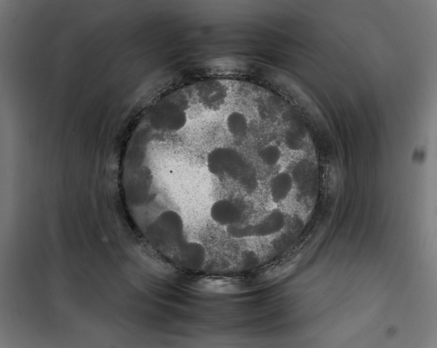 X0000100310557200807031149