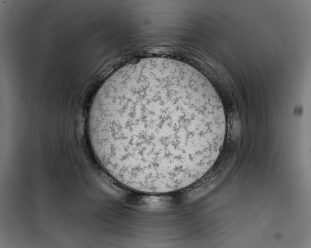 X0000100310558200807031149