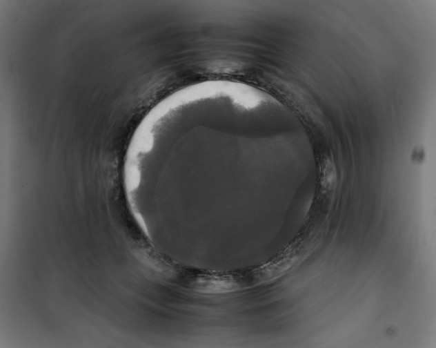 X0000100310559200807031149