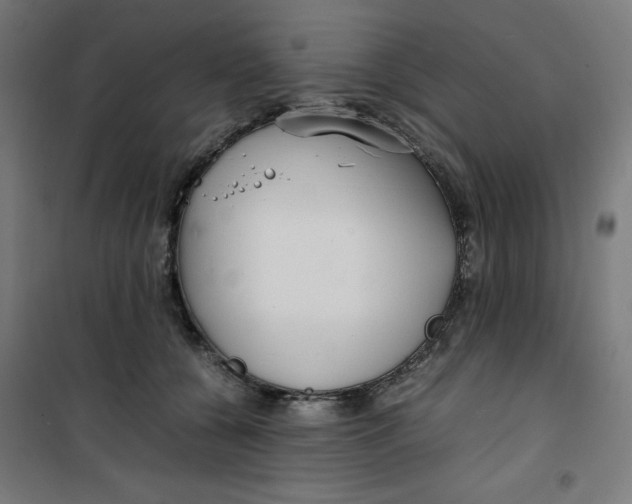 X0000100310560200807031149