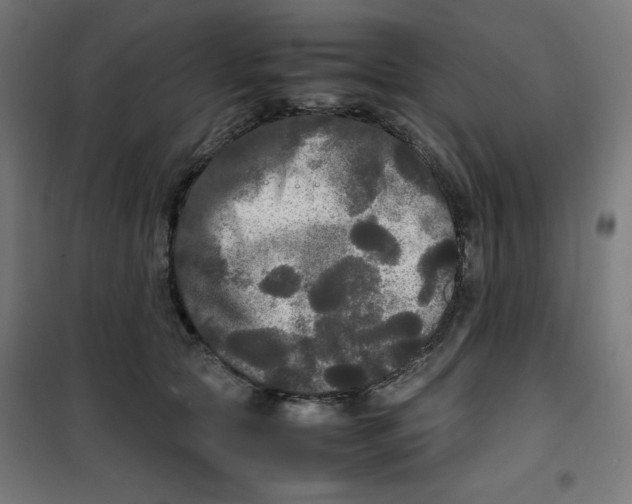 X0000100310561200807031149