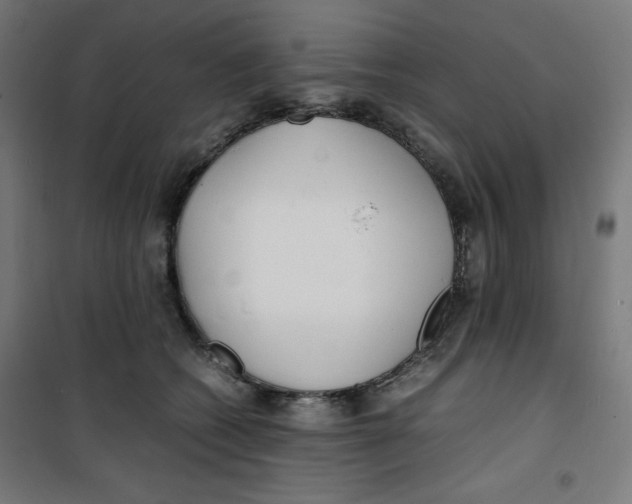 X0000100310562200807031149