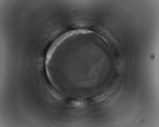 X0000100310563200807031149