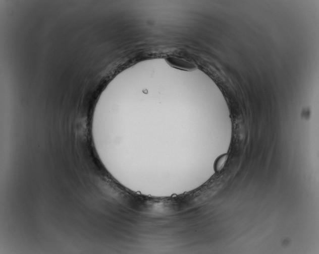 X0000100310564200807031149