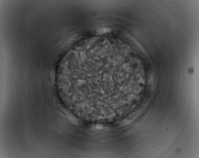 X0000100310565200807031149