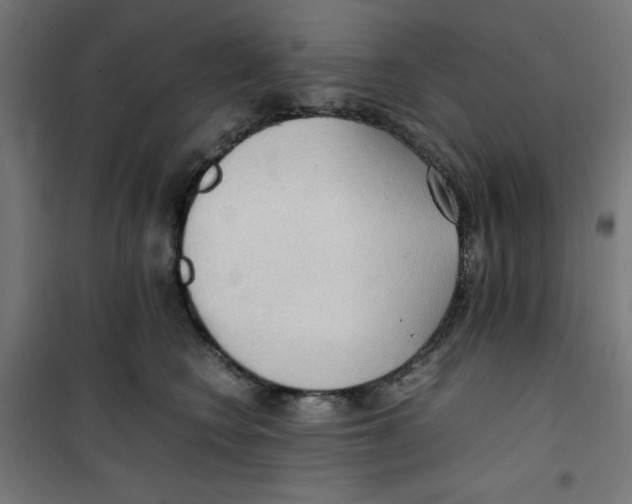 X0000100310566200807031149