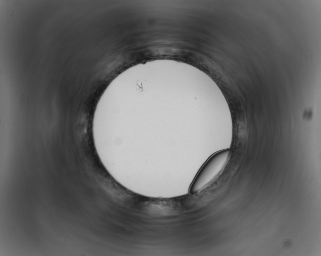 X0000100310567200807031149