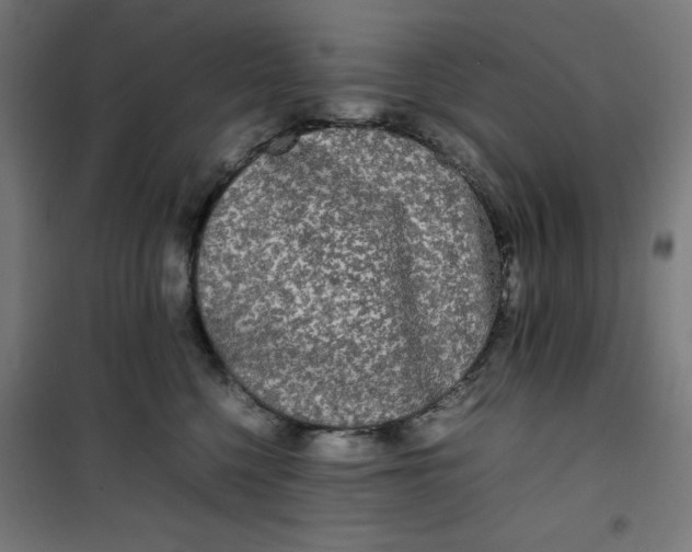 X0000100310568200807031149