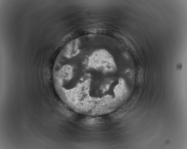 X0000100310569200807031149