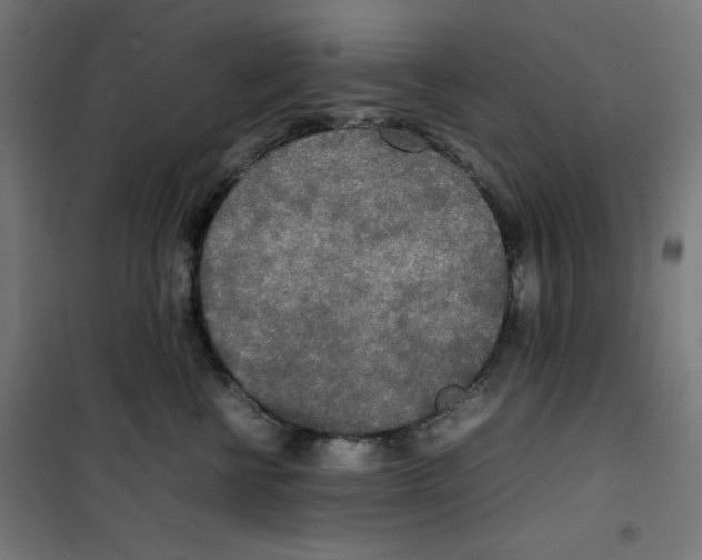X0000100310570200807031149