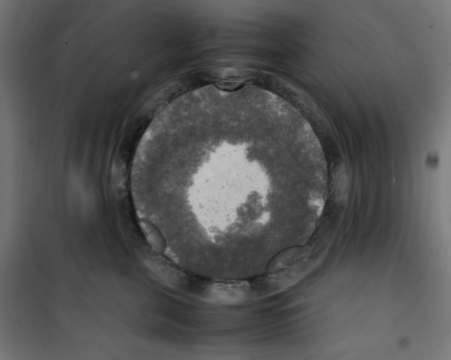 X0000100310571200807031149
