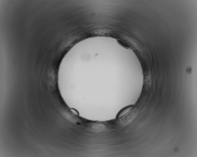 X0000100310572200807031149