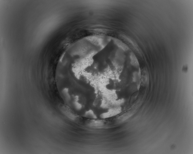 X0000100310573200807031149