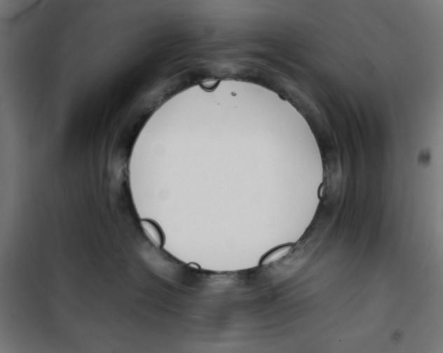 X0000100310574200807031149