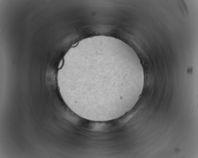 X0000100310575200807031149
