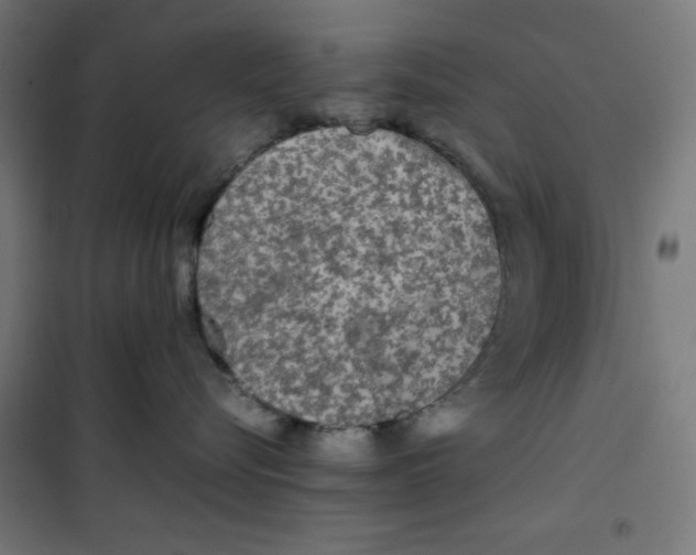 X0000100310576200807031149
