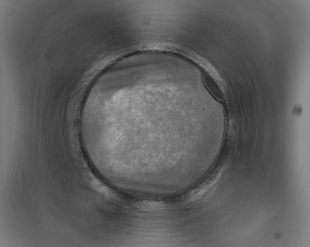 X0000100310577200807031149