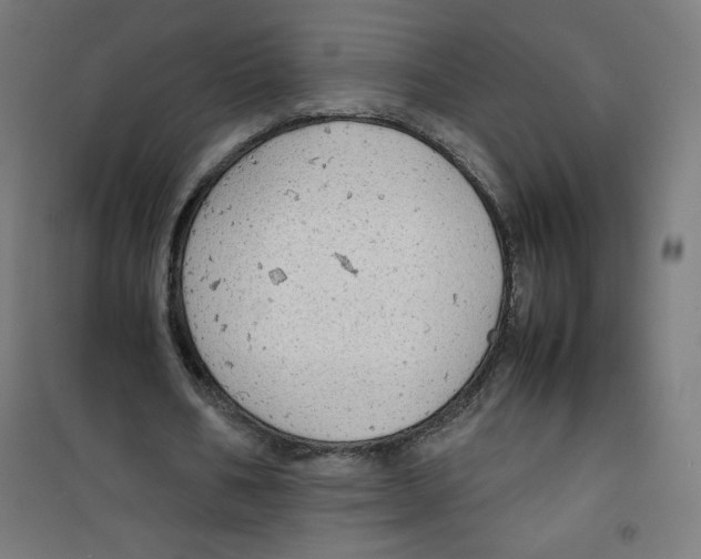 X0000100310578200807031149