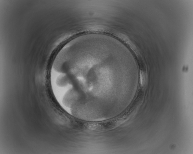 X0000100310579200807031149