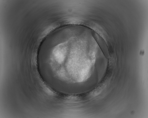 X0000100310581200807031148
