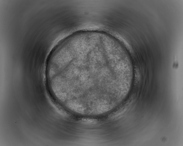 X0000100310582200807031148