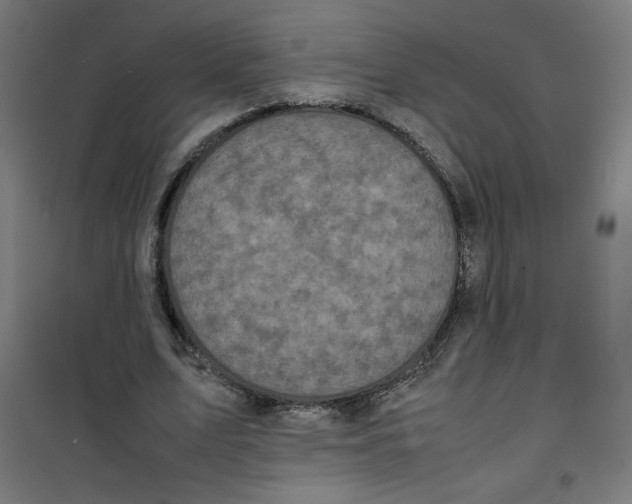 X0000100310583200807031148